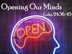 Open MInds